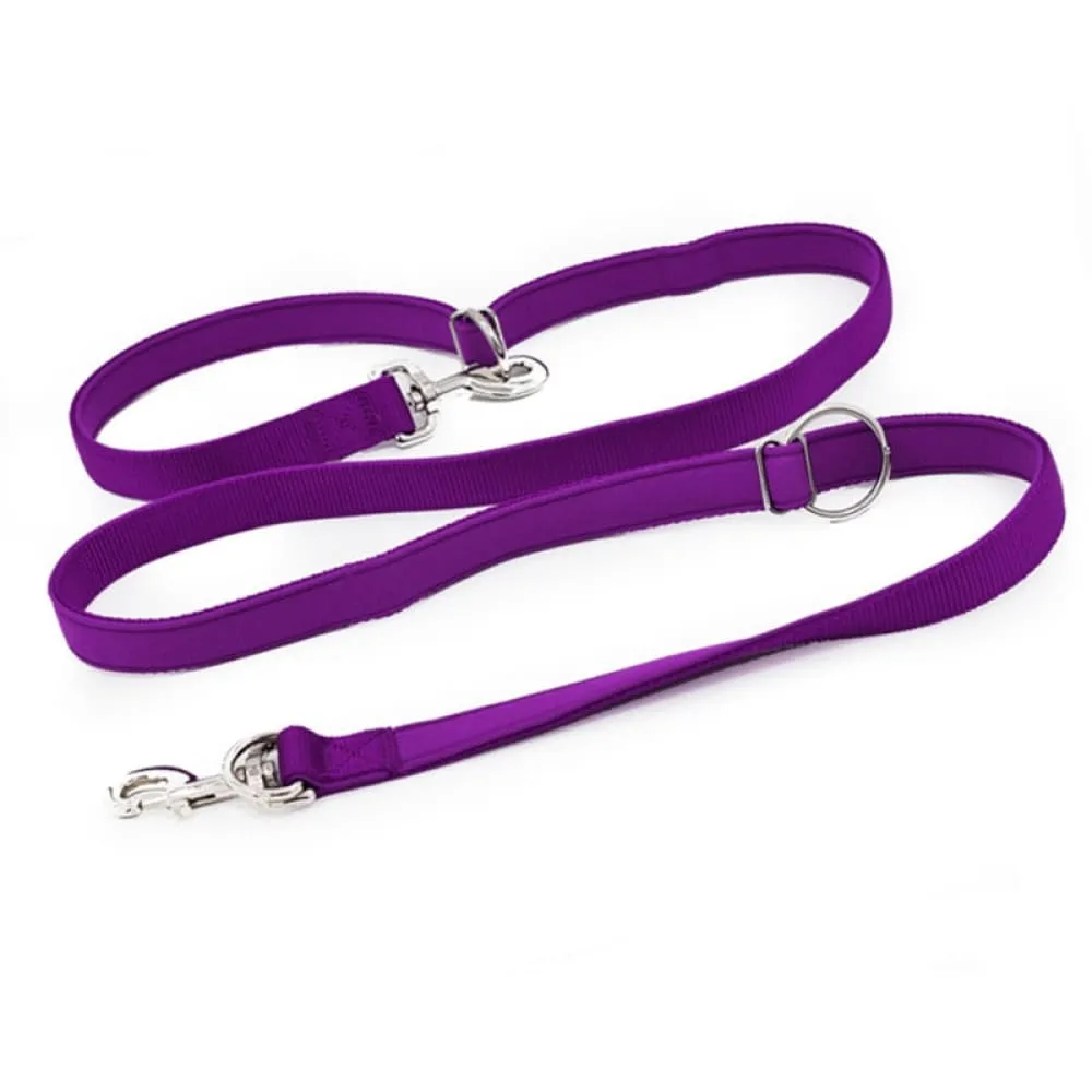 Adjustable Double Head Dog Leash with p Chain Hook