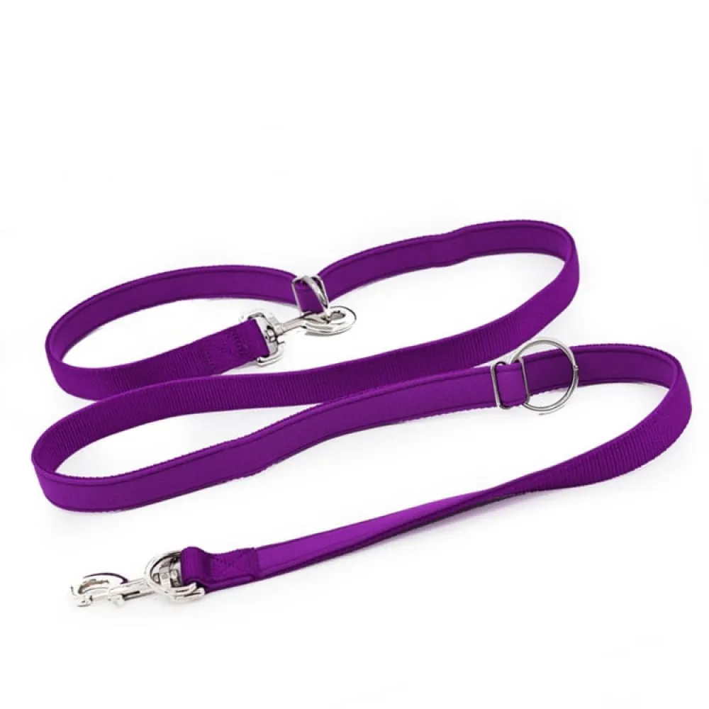 Adjustable Double Head Dog Leash with p Chain Hook