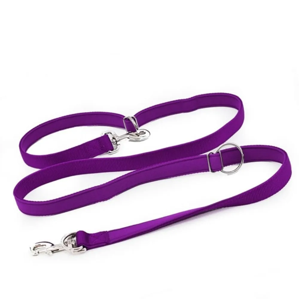 Adjustable Double Head Dog Leash with p Chain Hook