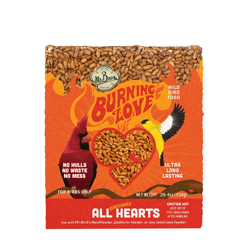 Burning Love Cake - New Item