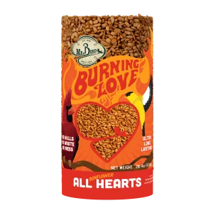 Burning Love Small Cylinder - New Item