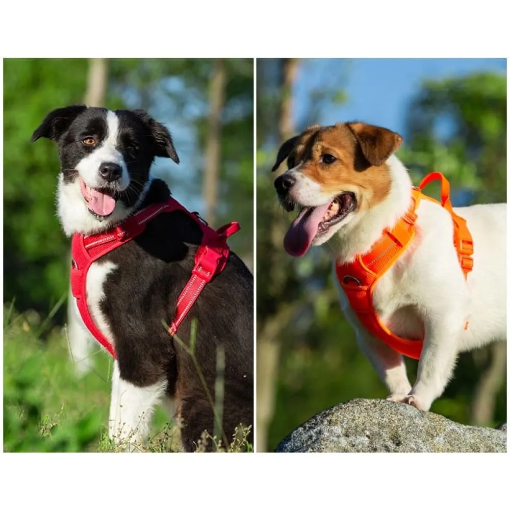 Comfortable and Breathable Nylon Reflective Pet Harness