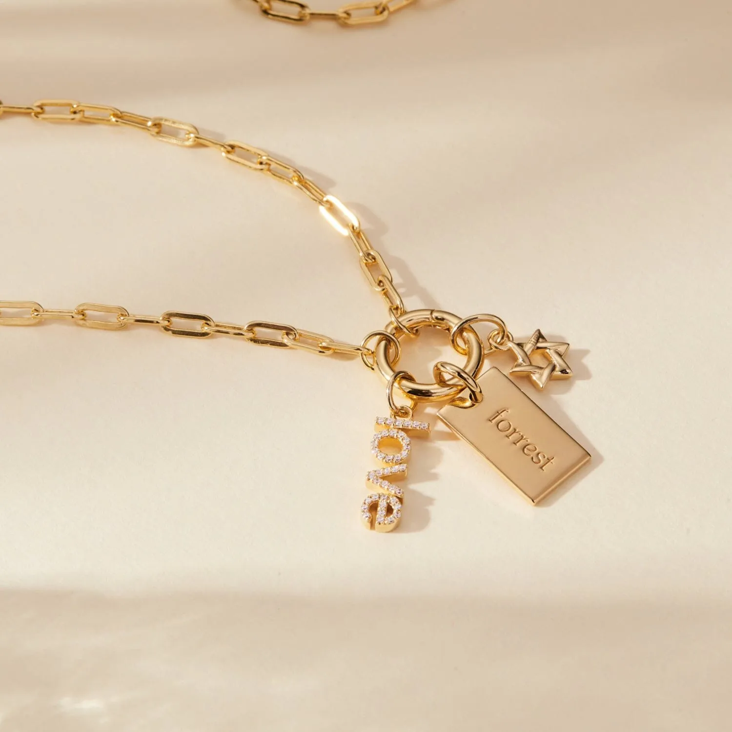 Front Clasp Mini Dog Tag Combination Necklace