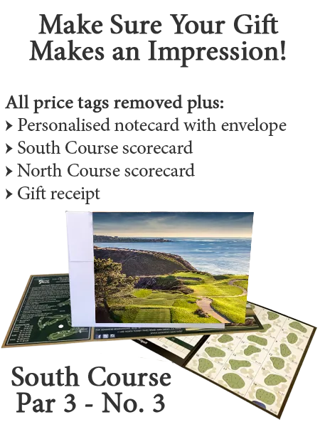 Torrey Pines Gift Impression