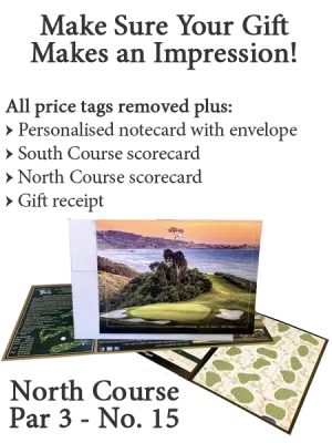 Torrey Pines Gift Impression