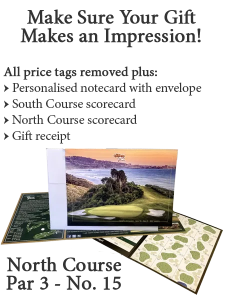 Torrey Pines Gift Impression